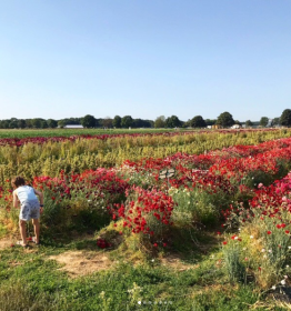 Image illustrative Top 5 unusual places in Île-de-France - Globe Trotter Place