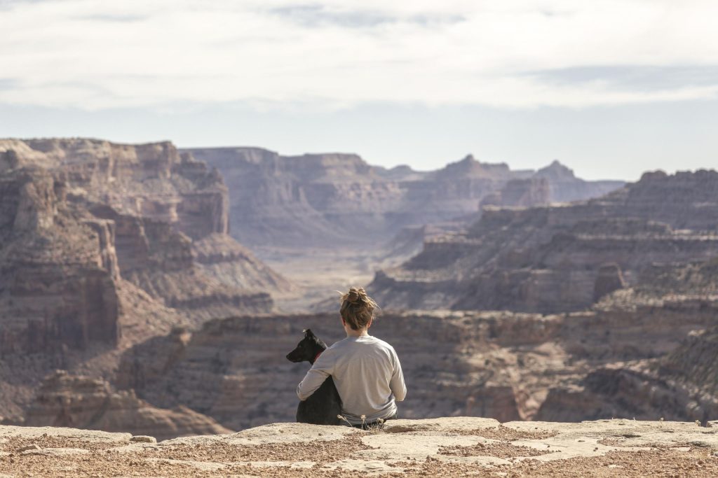 jeune femme assise au bord d'une falaise avec un chien, conten