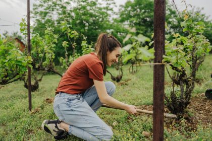 Image illustrative Les 5 jobs à faire en pleine nature - Globe Trotter Place